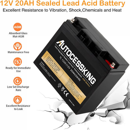 12V 20AH Lead Acid Battery Rechargeable with M5 Terminal Replacement for Electronic Scooter and Toy, Wheel Chair, UPS Backup Power, Emergency Lighting