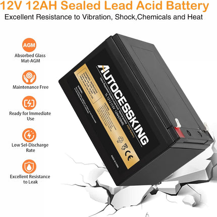 12V 12AH Sealed Lead Acid Battery Rechargeable AGM Battery with F2 Terminal Replacement for UPS Backup Power, Electronic Toys and Scooter, Wheel Chair, Emergency Lighting