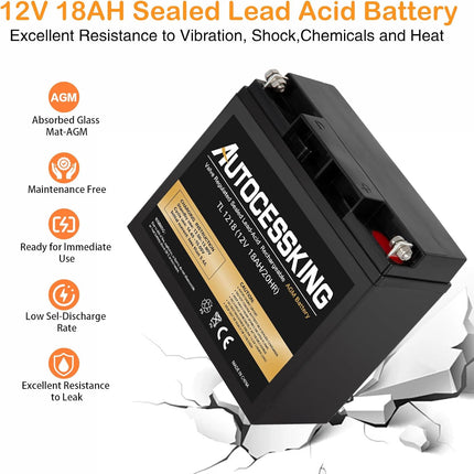 12V 18AH Battery Rechargeable Lead Acid AGM Battery with Nut and Bolt Terminal Replacement for UPS Backup Power, Electronic Toys and Scooter, Wheel Chair, Emergency Lighting