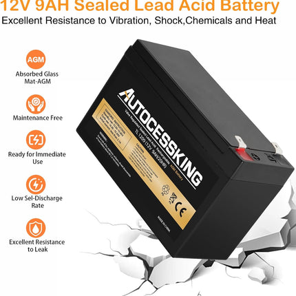 12V 9AH Sealed Lead Acid Battery Rechargeable AGM Battery with F2 Terminal Replacement for UPS Backup Power, Electronic Toys and Scooter, Wheel Chair, Emergency Lighting