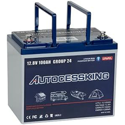 12v 100ah Lifepo4 Lithium Battery,12 Volt Lithium Group Size 24 Battery, Travel Trailer Battery