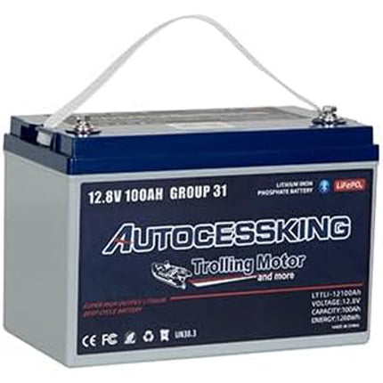 12v 100ah Lifepo4 Lithium Battery,12 Volt Lithium Group Size 31 Battery, Travel Trailer Battery