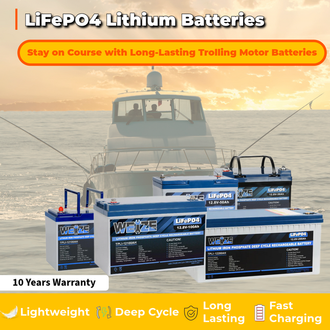 WEIZE LiFePO4 Lithium Camper Vans Batteries WEIZE