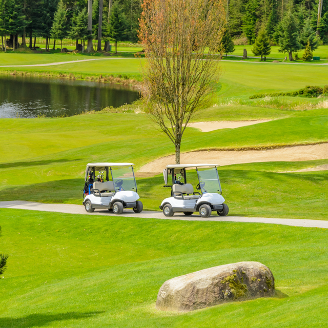 Keep Your Game Going with Our Golf Cart Batteries!